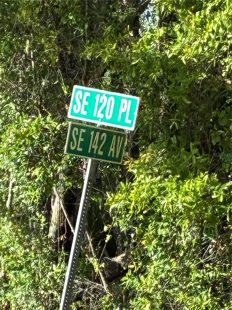 Se 142nd Ave And Se 120th Pl, Ocklawaha, FL 32179 - #3