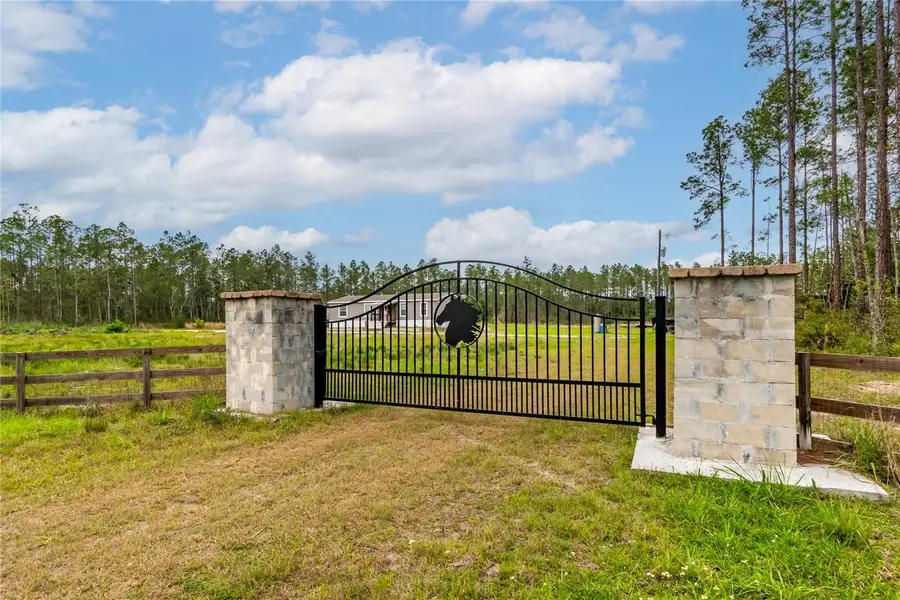 12655 NE 215th Street, Fort McCoy, FL 32134 - #3