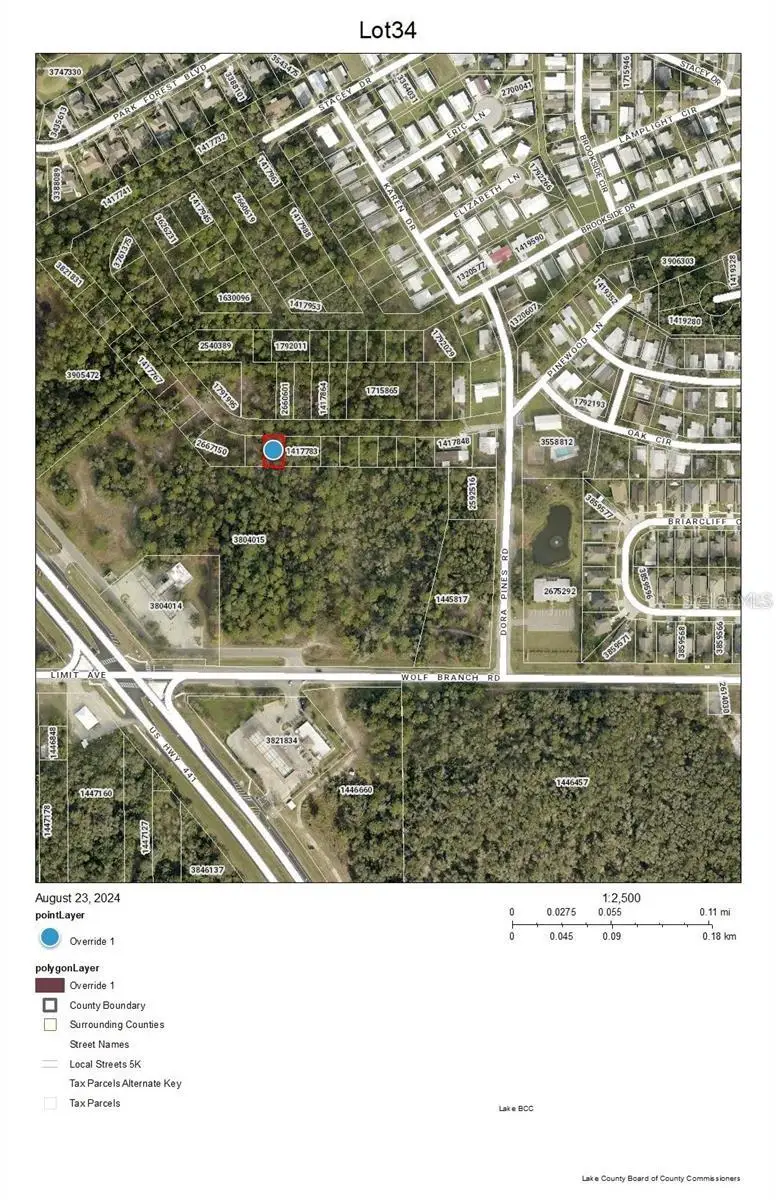 Lot 34 Wolf Branch Rd, Mount Dora, FL 32757 - #3