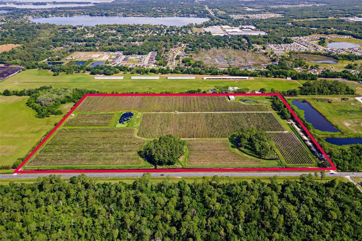 7453 Jones Avenue, Mount Dora, FL 32757 - #1