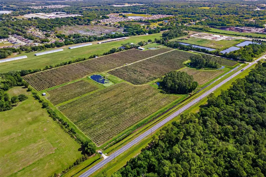 7453 Jones Avenue, Mount Dora, FL 32757 - #3