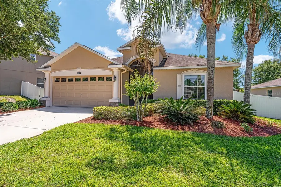 5814 Coquyt Drive, Mount Dora, FL 32757 - #2