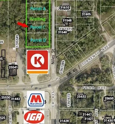 31577 Niles Street, MOUNT PLYMOUTH, FL 32776