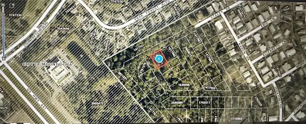 Lots 77 & 78 Park Forest Boulevard, MOUNT DORA, FL 32757