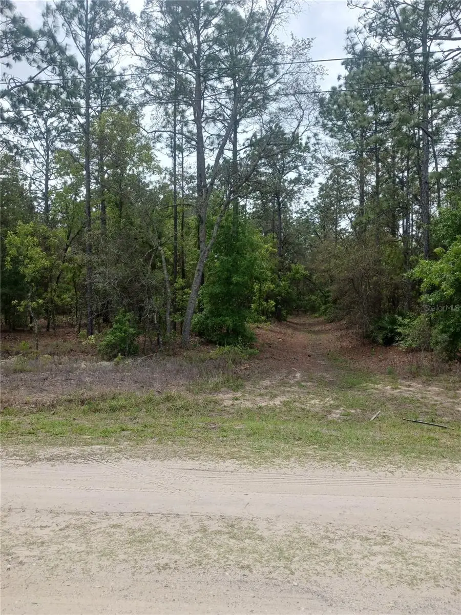 0 71st Lane, Ocala, FL 34481 - #3