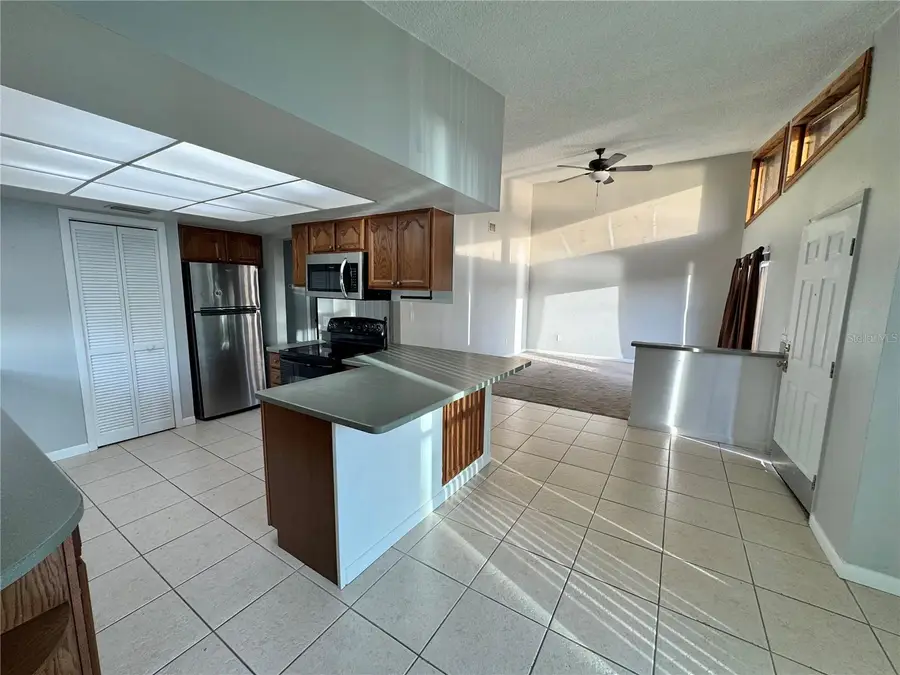 171 Sunnyside Drive, Clermont, FL 34711 - #3