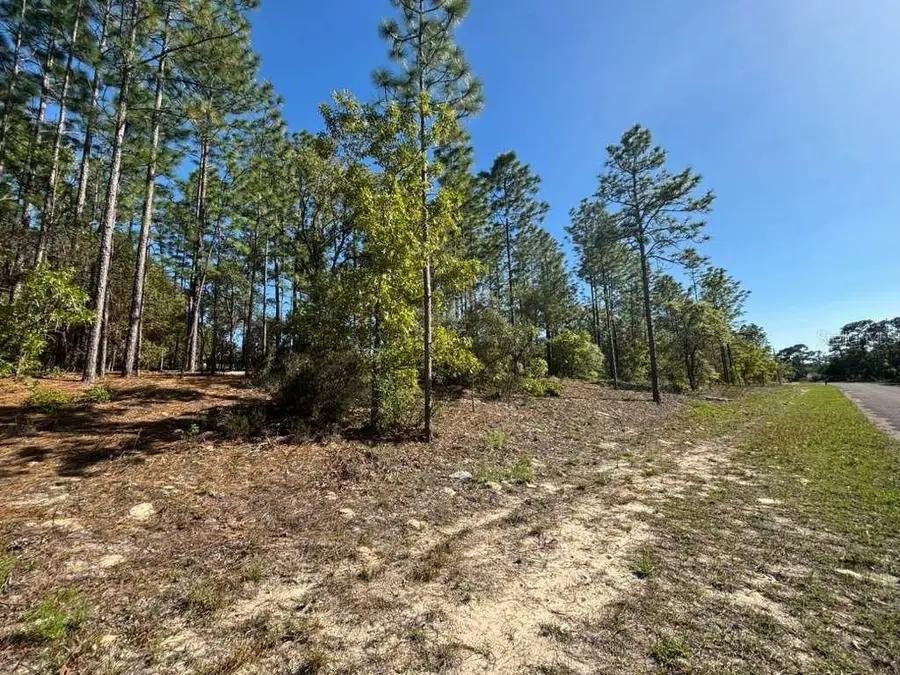 9161 N Marcus Way, Citrus Springs, FL 34433 - #3