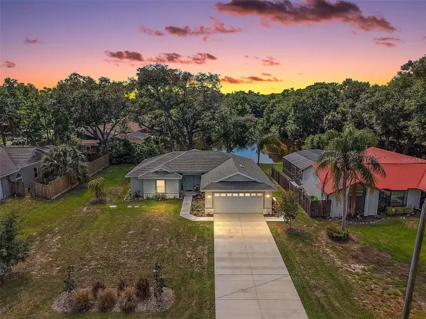 335 Vincent Drive, MOUNT DORA, FL 32757