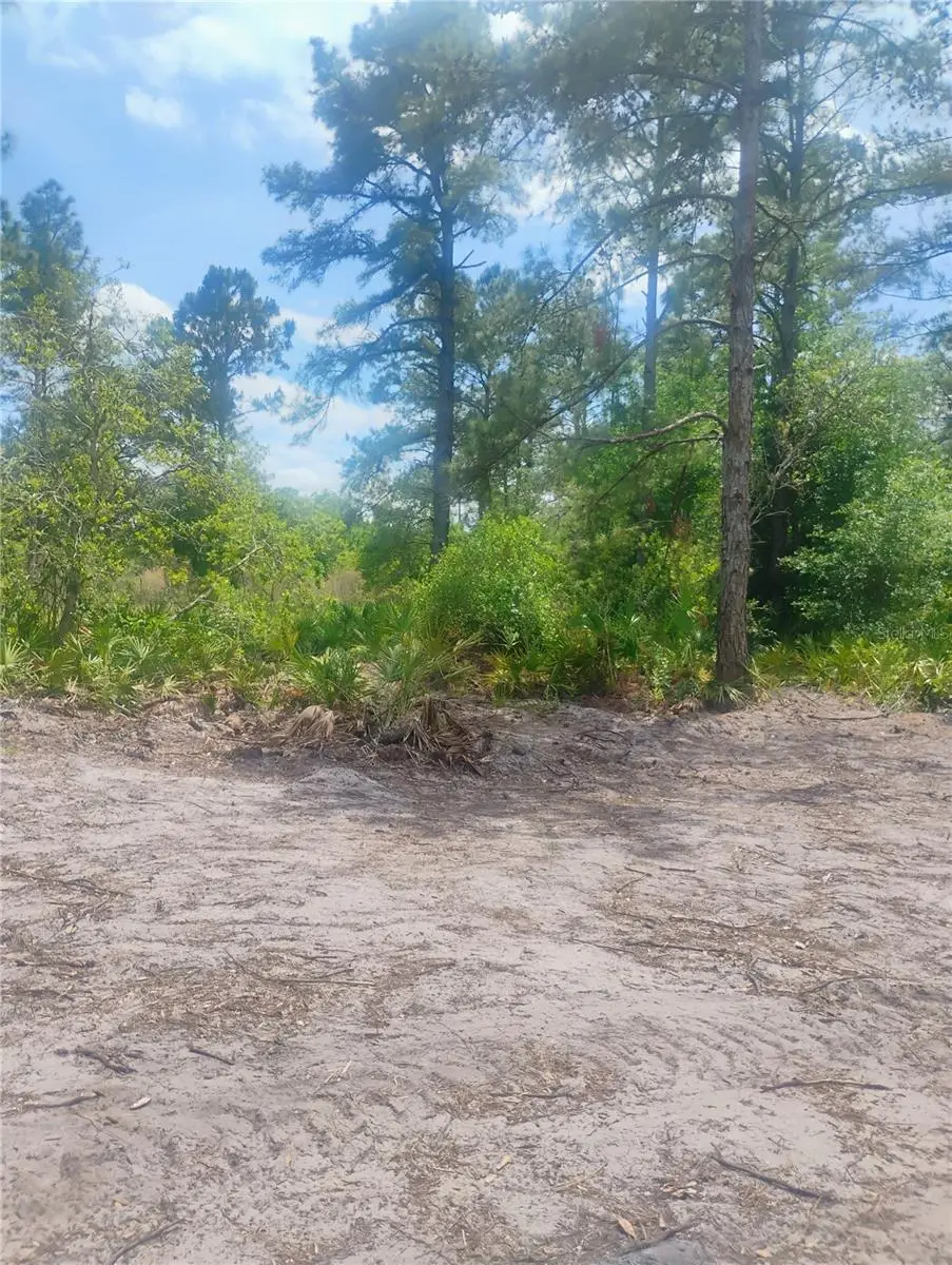 Park Forest Boulevard, Mount Dora, FL 32757 - #1