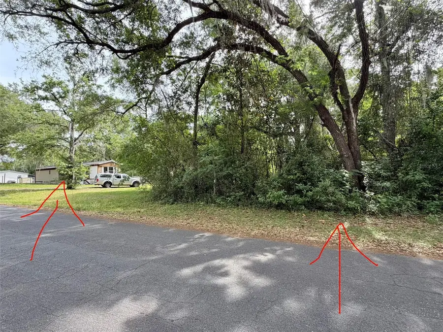 9165 Starfish Avenue, Floral City, FL 34436 - #3