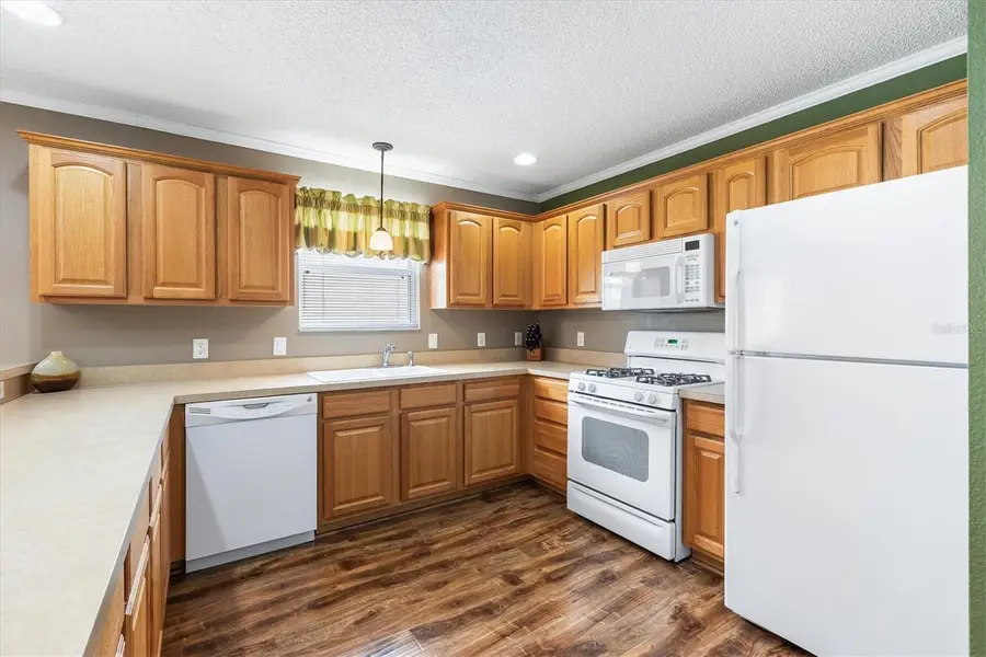 979 Smyrna Street, The Villages, FL 32162 - #3