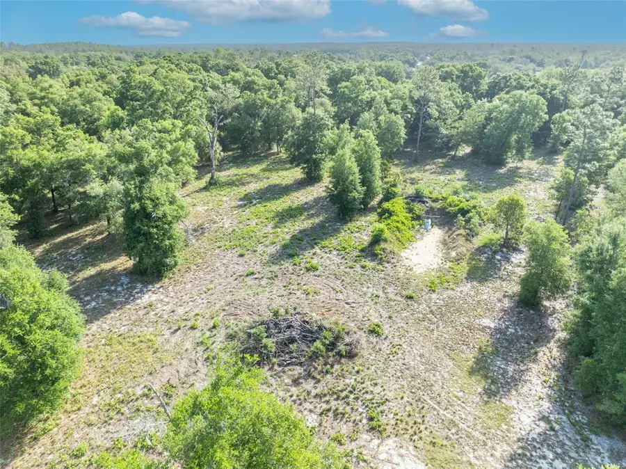 Shady Oak Lane, Eustis, FL 32736 - #2