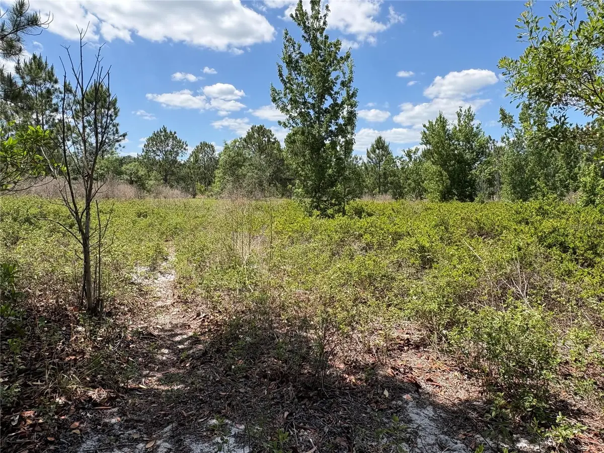 San Juan Ave #LOT 29, Polk City, FL 33868 - #1