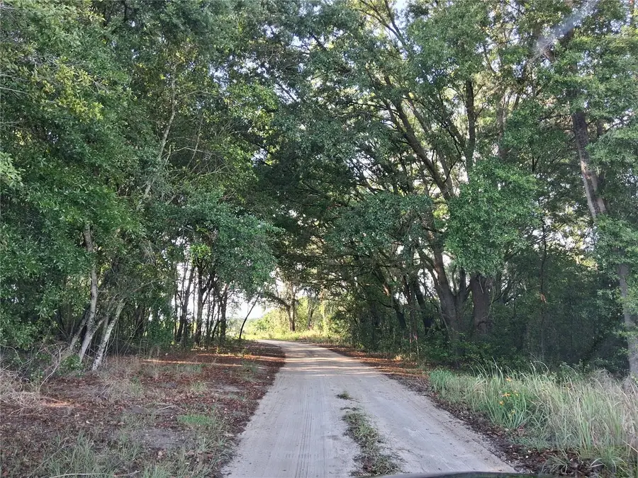 16451 Forrest Lane, Groveland, FL 34736 - #2