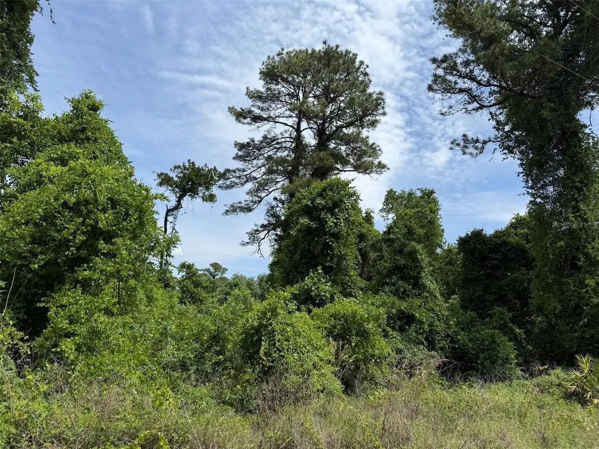 000 Folklore Dr, Satsuma, FL 32189 - #1