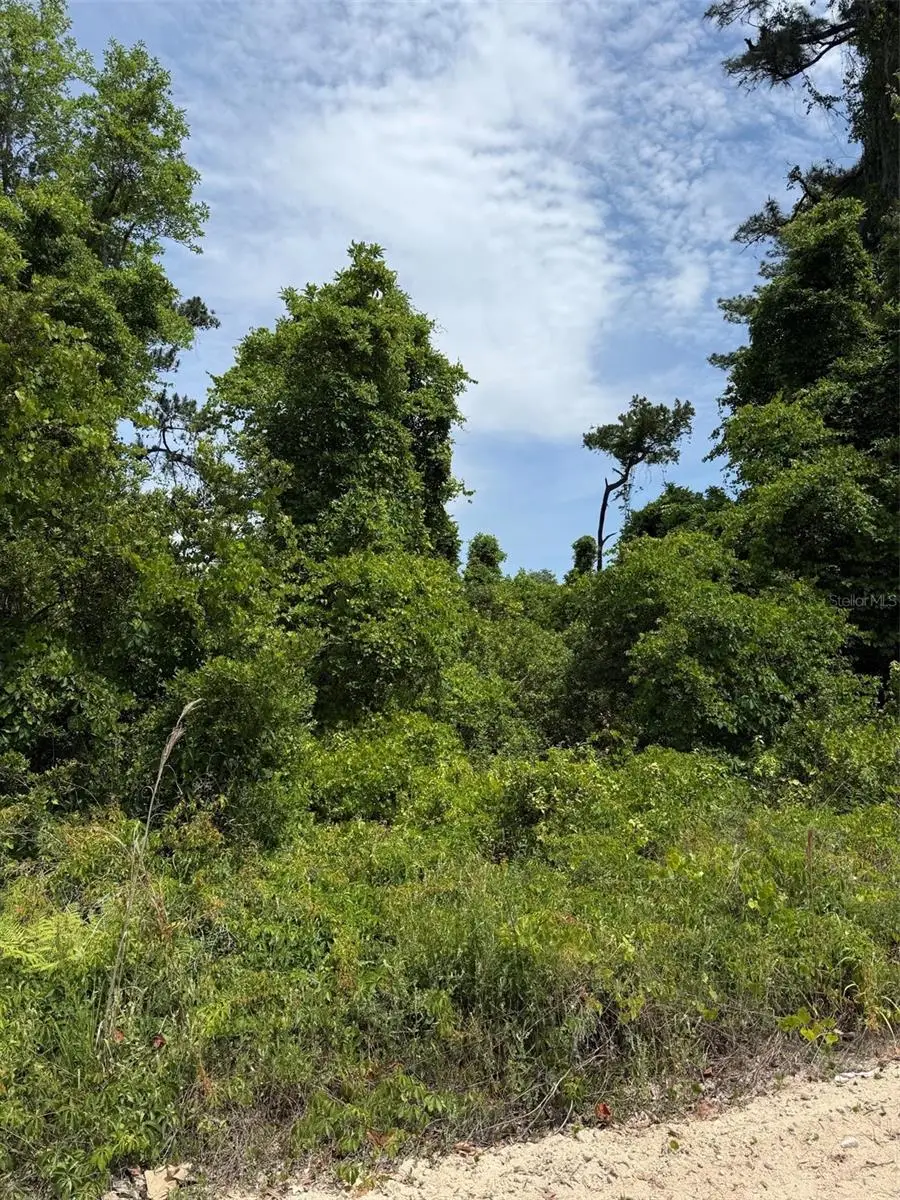 000 Folklore Dr, Satsuma, FL 32189 - #2