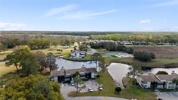 17203 Sandalwood Drive, WILDWOOD, FL 34785