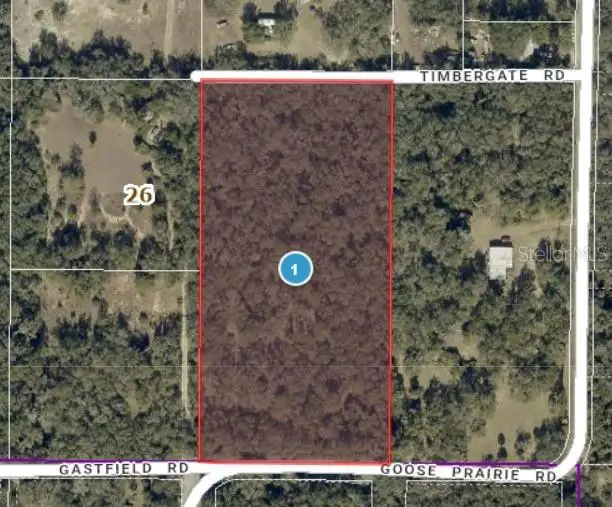 10755 Goose Prairie Road, Leesburg, FL 34788 - #1