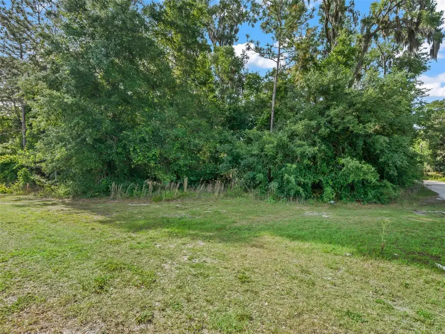 2823 W C 48, Bushnell, FL 33513 - #3