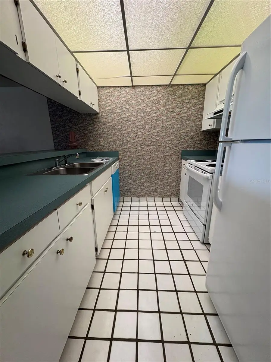 167 Palm View Court #3487, Haines City, FL 33844 - #2