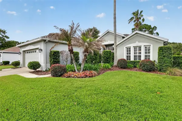 8011 Pine Hollow Drive, MOUNT DORA, FL 32757