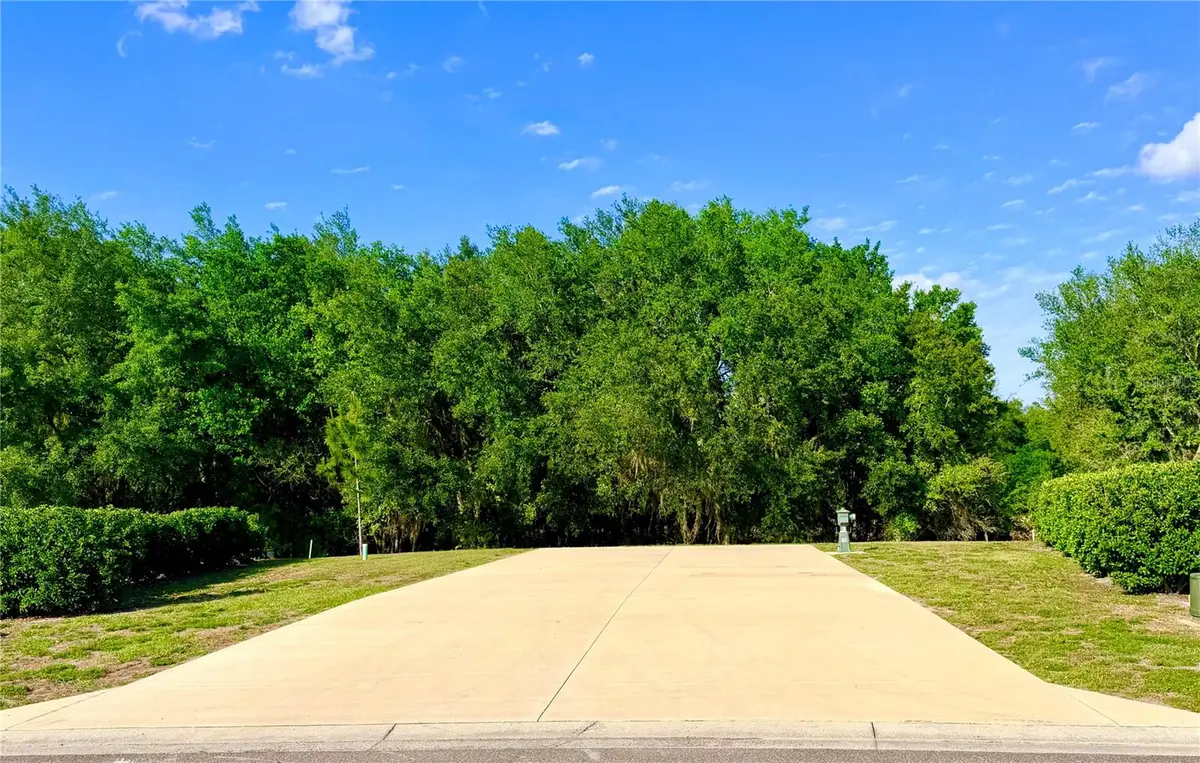 4933 SE 92nd Boulevard, Webster, FL 33597 - #1