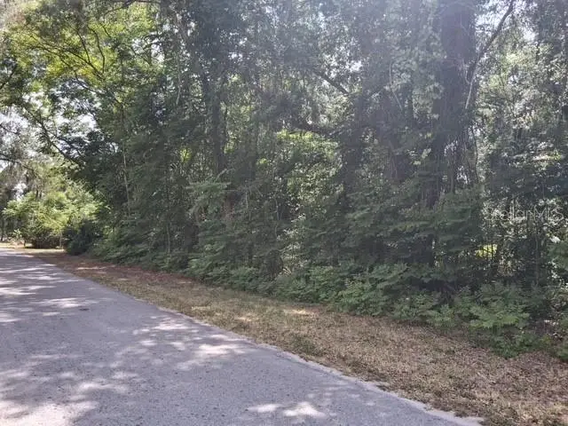 NW 2nd Street, Webster, FL 33597 - #3