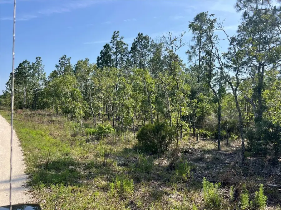 NE 151st Avenue, Williston, FL 32696 - #2