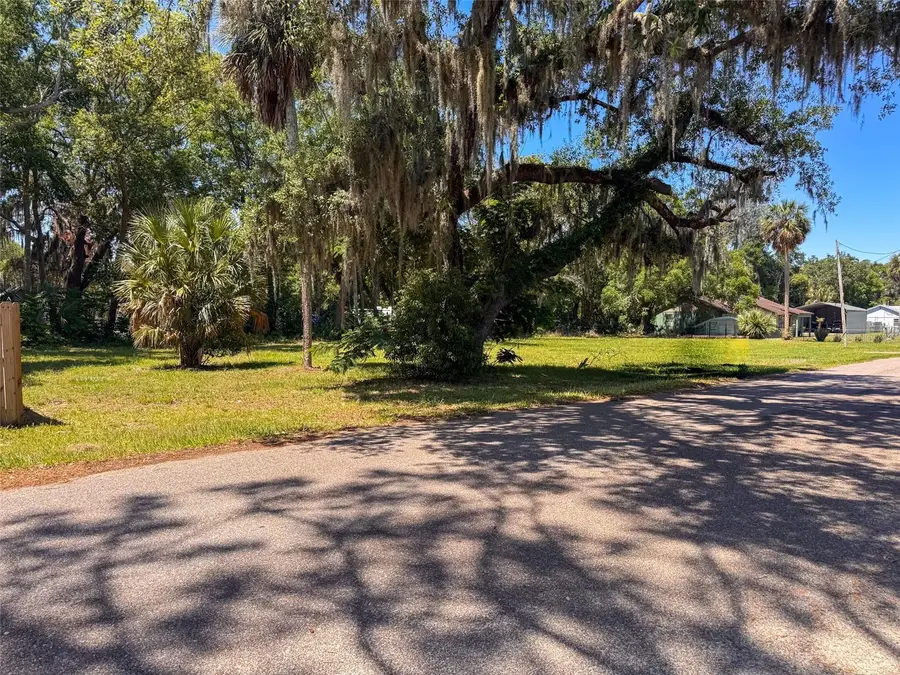 Lot 00200 Lenord Street, Umatilla, FL 32784 - #3