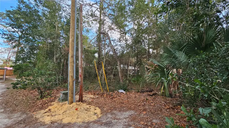 W Seventh Avenue, Umatilla, FL 32784 - #2