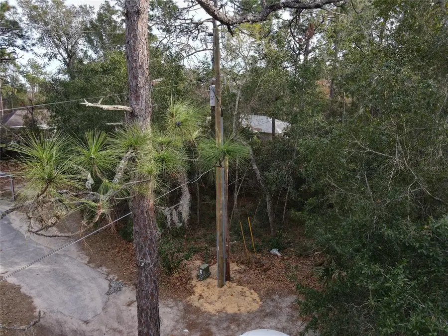 W Seventh Avenue, Umatilla, FL 32784 - #3