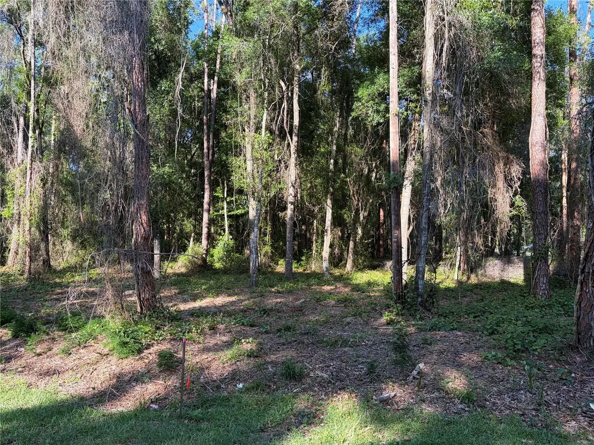 9192 Cr 647cs, Bushnell, FL 33513 - #1