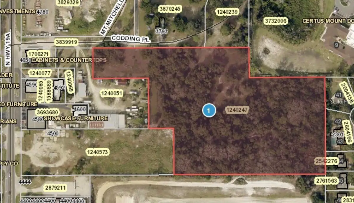 Codding Place, Mount Dora, FL 32757 - #1