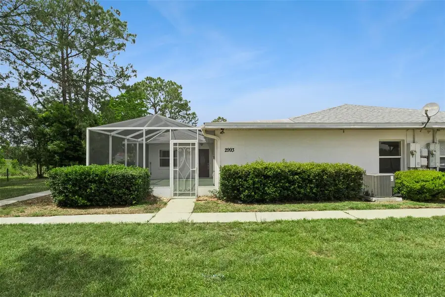 2993 Poplar Avenue, Leesburg, FL 34748 - #2