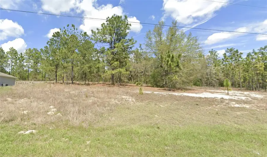1907 W Corrine Street, Dunnellon, FL 34434 - #3