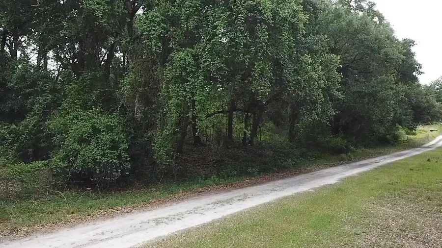 Se 175th Place, Umatilla, FL 32784 - #3