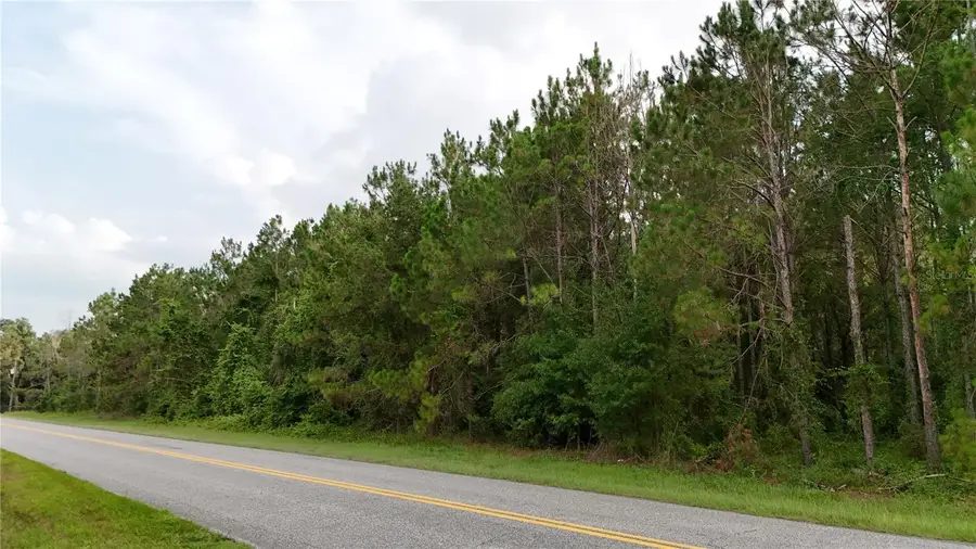 37625 N County Road 44a, Eustis, FL 32726 - #2