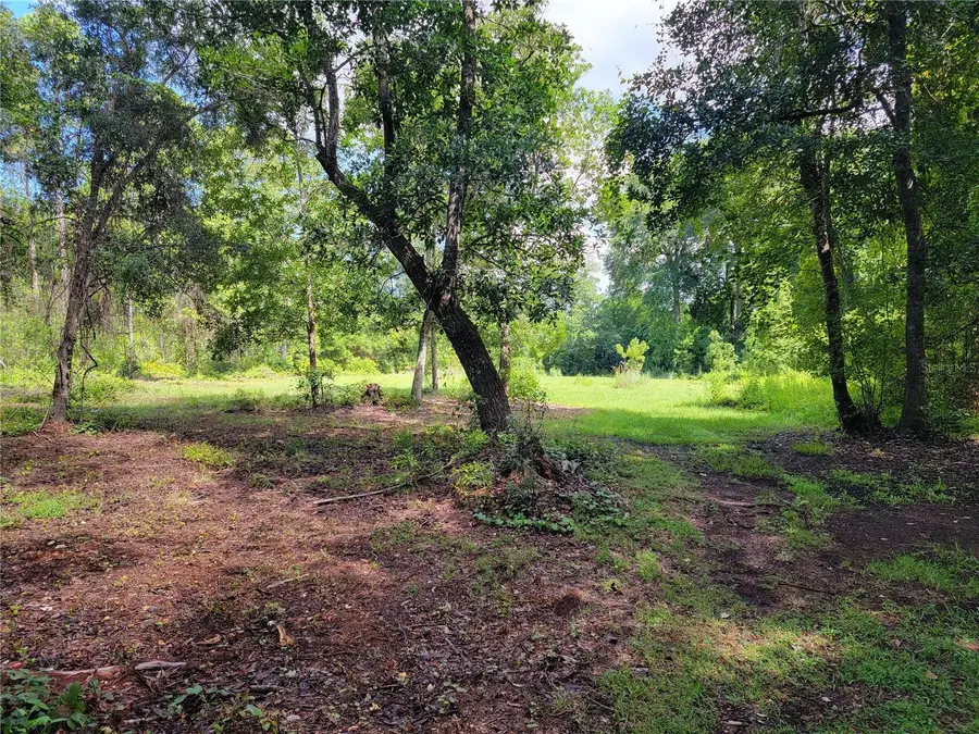0 SE 464c Highway, Ocklawaha, FL 32179 - #2