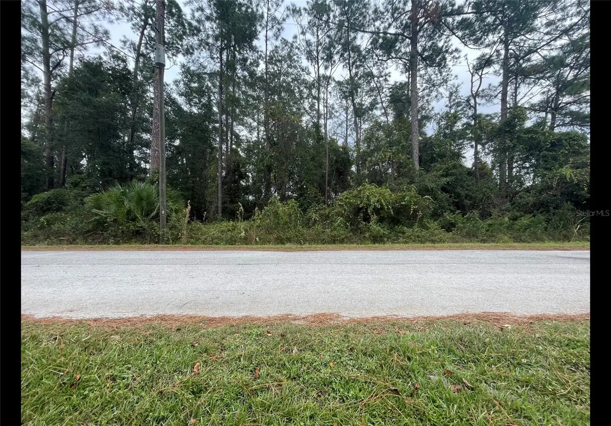 Cr 173e, Wildwood, FL 34785 - #1