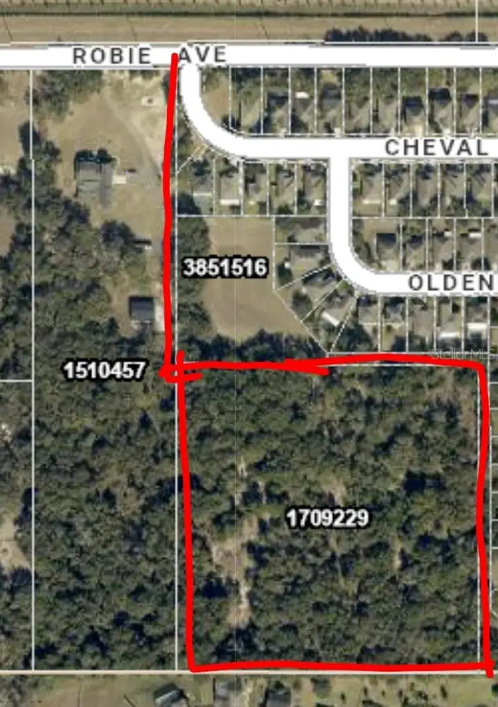 3016 Robie Avenue, Mount Dora, FL 32757 - #1