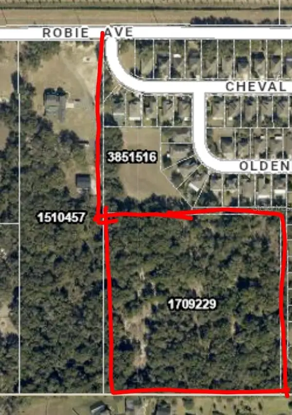 3016 Robie Avenue, MOUNT DORA, FL 32757