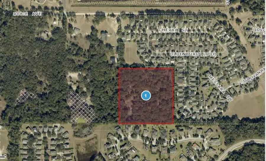3016 Robie Avenue, Mount Dora, FL 32757 - #2
