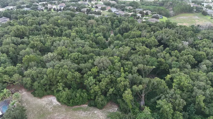 3016 Robie Avenue, Mount Dora, FL 32757 - #3