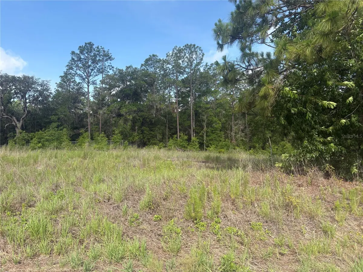 TBD SW 152 Court, Ocala, FL 34481 - #1