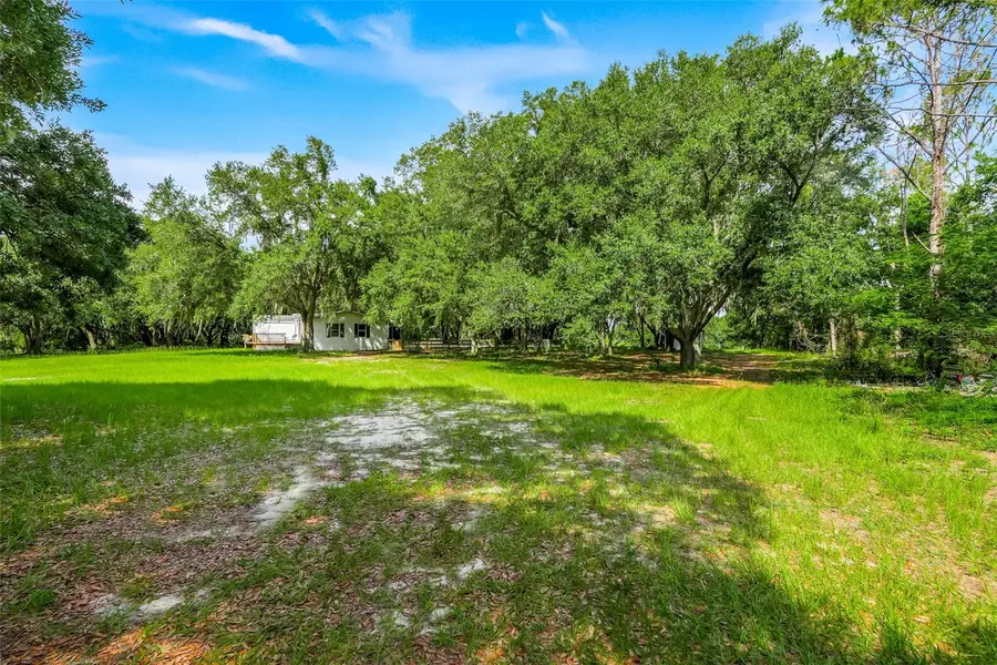23449 Thomas Allen Road, Howey In The Hills, FL 34737 - #3