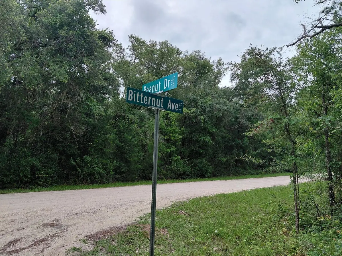 Peanut Drive, Webster, FL 33597 - #1