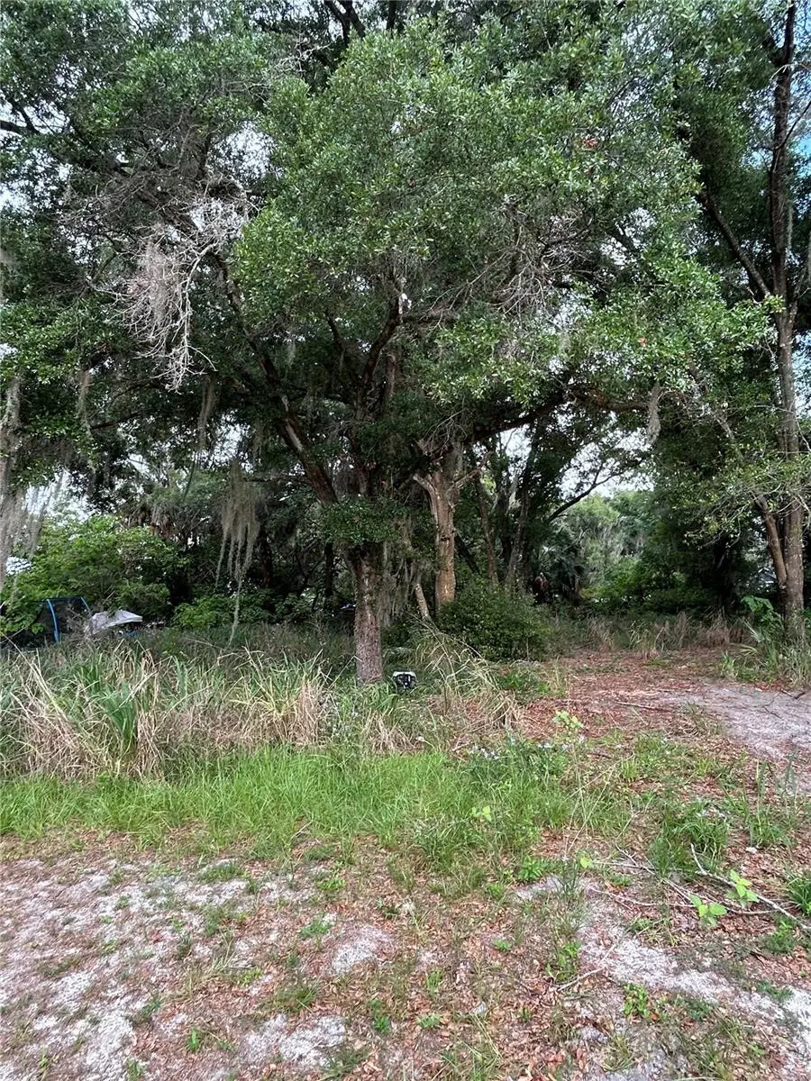 508 Palmetto Street, Eustis, FL 32726 - #2