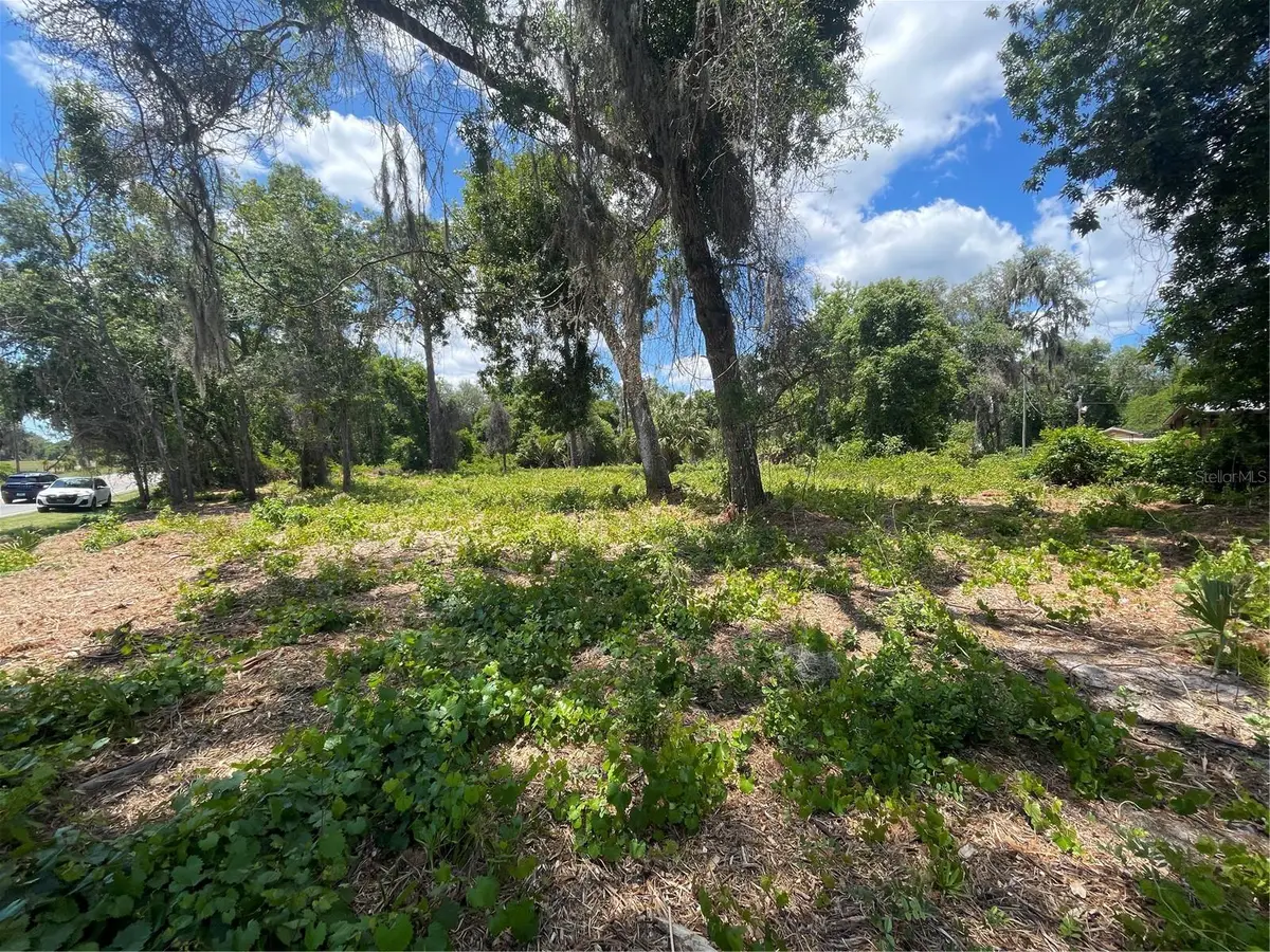 County Road 42, Umatilla, FL 32784 - #1