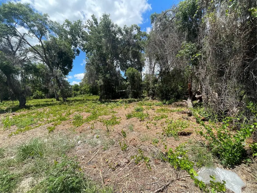 County Road 42, Umatilla, FL 32784 - #2