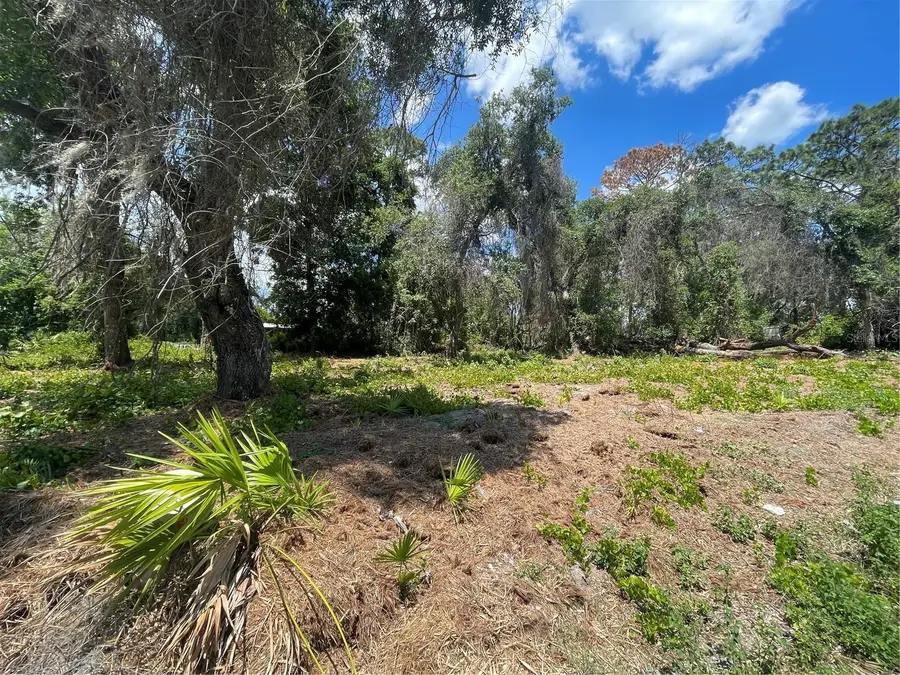 County Road 42, Umatilla, FL 32784 - #3